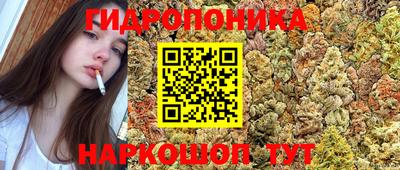 амф Заводоуковск