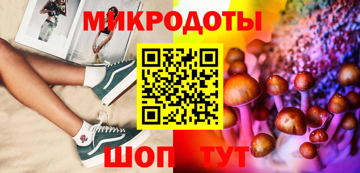 Галлюциногенные грибы Psilocybe Магнитогорск
