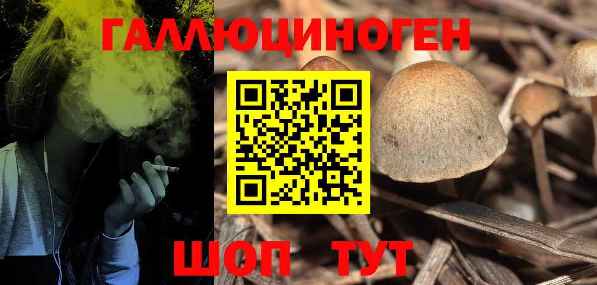 Галлюциногенные грибы Magic Shrooms  Галлюциногенные грибы Psilocybe  Магнитогорск  Вход с VPN 